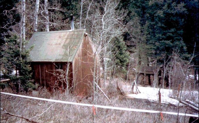 Ted Kaczynski, Anti-Technology Radicalism and Eco-Fascism