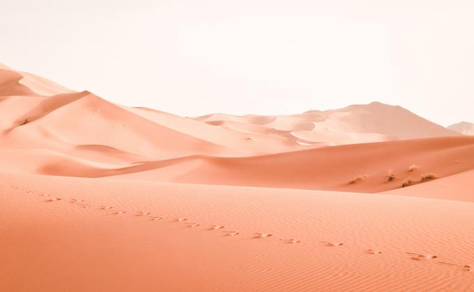 The Warning Signs are Flashing Red: The Interplay Between Climate Change and Violent Extremism in the Western Sahel